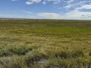 Apartment Havneby  32