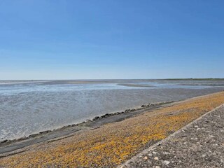 Appartamento Havneby  10