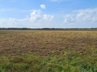 Vakantiehuis Pandrup  6