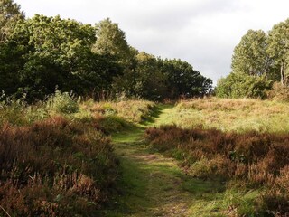 Vakantiehuis Pandrup  22