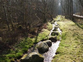 Vakantiehuis Pandrup  11