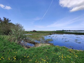 Vakantiehuis Pandrup  4