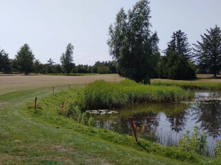 Vakantiehuis Pandrup  8