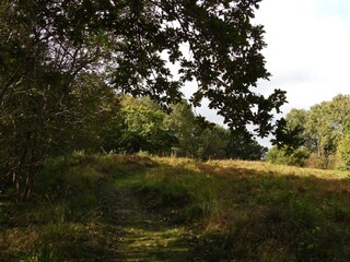 Vakantiehuis Pandrup  37