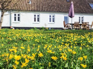 Vakantiehuis Pandrup  21