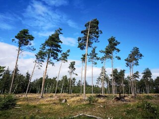 Vakantiehuis Vaeggerløse  21