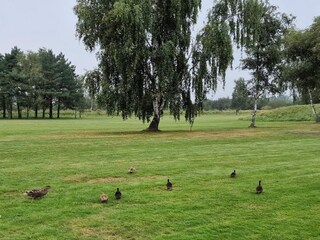 Casa de vacaciones Vaeggerløse  6