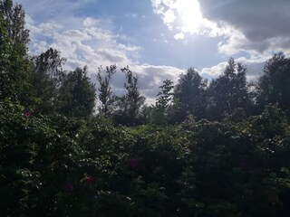 Holiday house Vaeggerløse  25