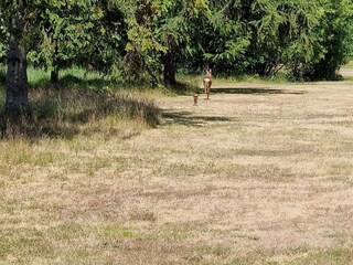 Casa per le vacanze Vaeggerløse  33