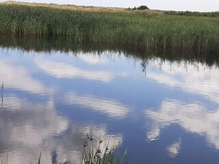 Vakantiehuis Hals  32