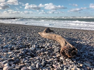 Ferienhaus Skagen  27