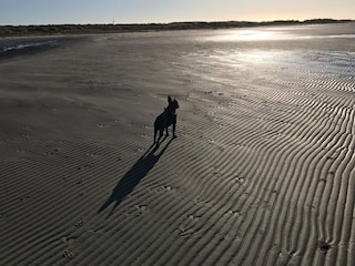 Ferienhaus Læsø  28