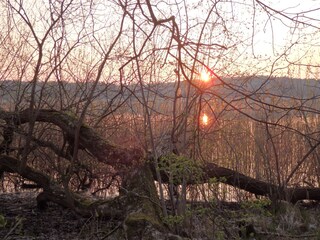 Abendstimmung am Useriner See