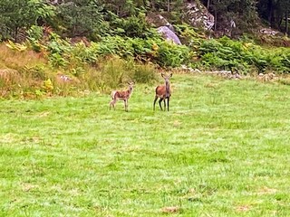 Holiday house Tysnes  18