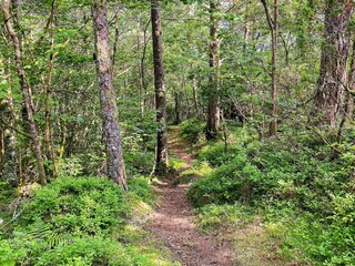 Holiday house Tysnes  19