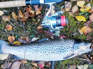 Casa de vacaciones Schweden  7