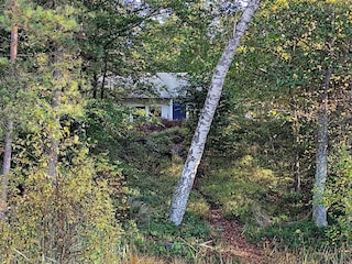 Ferienhaus Dalshult Außenaufnahme 2