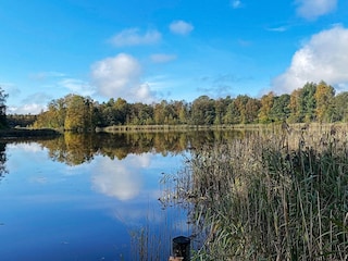 Vakantiehuis Dalshult  8