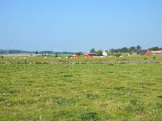 Ferienhaus Bua  15