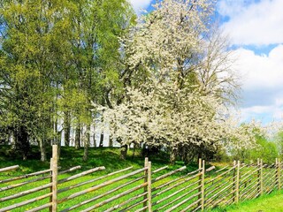 Casa per le vacanze Sandhem  24