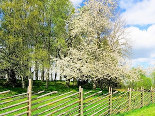 Ferienhaus Sandhem  25