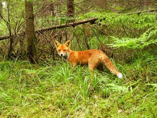 Maison de vacances Sandhem  26