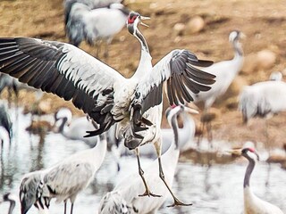 Casa per le vacanze Sandhem  19