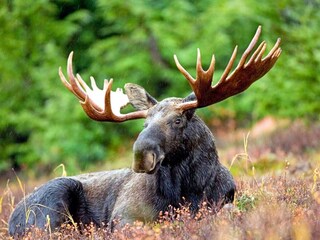 Casa per le vacanze Sandhem  23