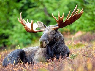 Casa de vacaciones Rävsnäs  11