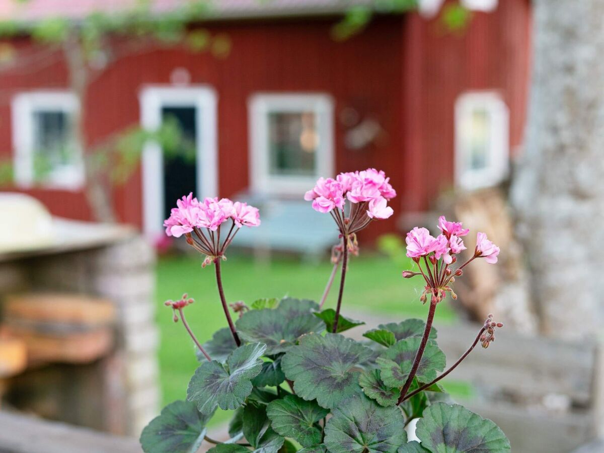 Ferienhaus Stensjön Außenaufnahme 7