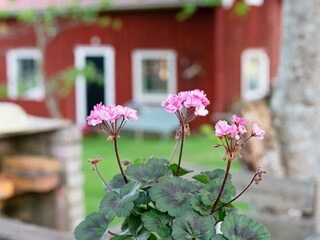 Holiday house Stensjön Outdoor Recording 5