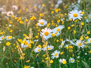 Casa de vacaciones Stensjön  11