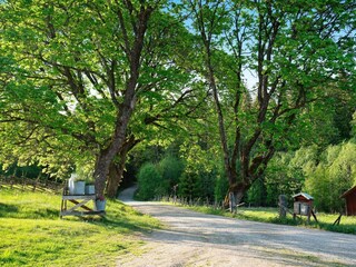 Vakantiehuis Stensjön Buitenaudio-opname 6