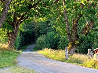 Casa de vacaciones Stensjön  25
