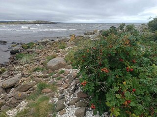 Vakantiehuis Heberg  12