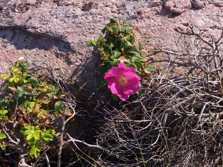 Casa per le vacanze Heberg  34