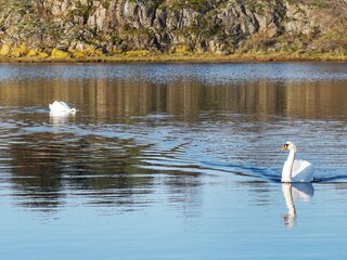 Ferienhaus Strömstad  20