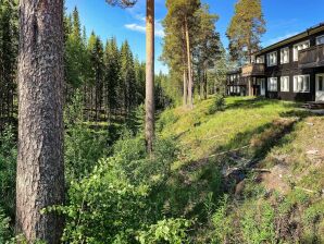 Apartment 10 persone case ad SÄLEN