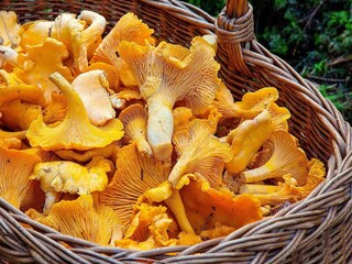 Casa de vacaciones Järvsö  14