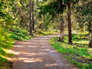 Ferienhaus Järvsö  14