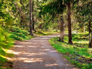 Vakantiehuis Järvsö  15