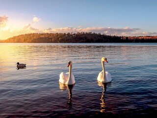Casa per le vacanze Stockholm  29