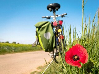 Casa per le vacanze Stockholm  18