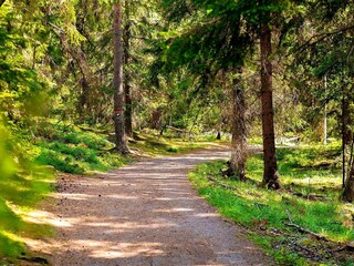 Maison de vacances Stockholm  15