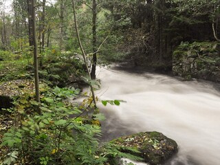 Ferienhaus Grängesberg  16