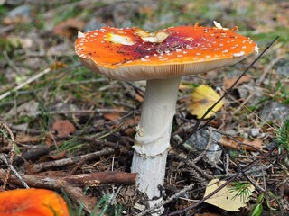 Vakantiehuis Grängesberg  21