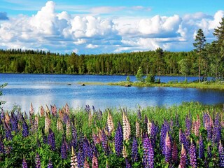 Casa per le vacanze Grängesberg  34