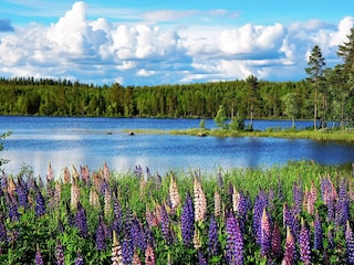 Vakantiehuis Grängesberg  24