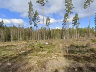 Ferienhaus Grängesberg  21