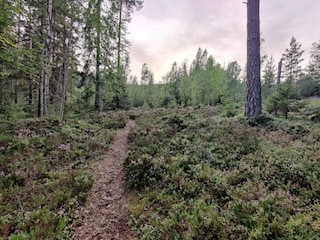 Ferienhaus Grängesberg  20
